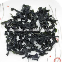 Exportation Kasher Wakame Seaweed